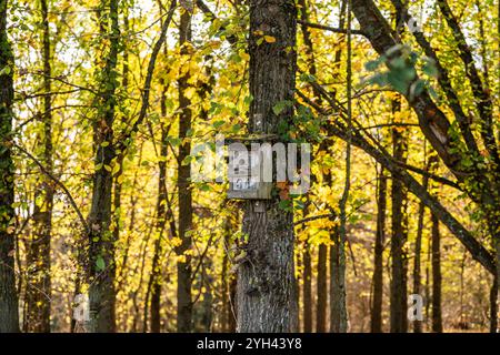 Rottweil, Deutschland. November 2024. Ein Vogelhaus hängt an einem Baum und ist von gelblichen Blättern umgeben. Quelle: Silas Stein/dpa/Alamy Live News Stockfoto