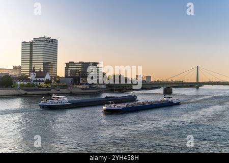 Frachtschiffe, Binnenschiffe transportieren Güter auf dem Rhein in Köln. Schiffbarer Fluss. Moderne Glashäuser am Flussufer. Wunderschöner Sonnenuntergang. Metallbrücke ov Stockfoto