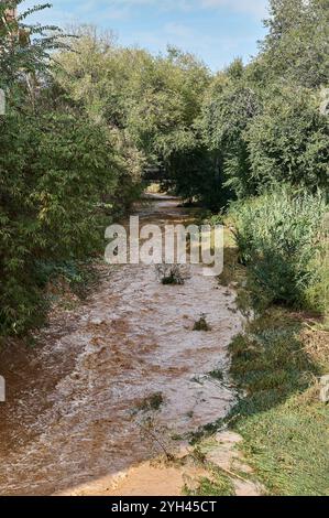 Ein ruhiger Blick auf den Fluss Sant Climent in Viladecans mit klarem Wasser, das durch den Bach fließt, umgeben von natürlicher Vegetation und einem ruhigen geldautomaten Stockfoto