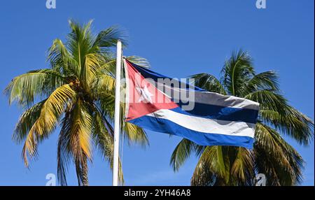 Kubanische Flagge im Wind vor einem Hintergrund von Palmen und blauem Himmel Stockfoto