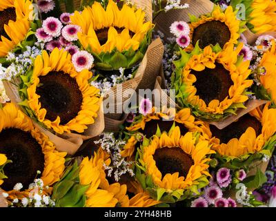 Sonnenblume Blumensträuße Stockfoto