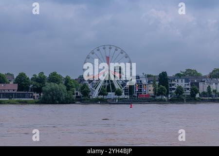 Bonn, Deutschland - 21. Mai 2024 : Blick auf ein Riesenrad und den geschwollenen Rhein im Vordergrund in Bonn Beuel Stockfoto