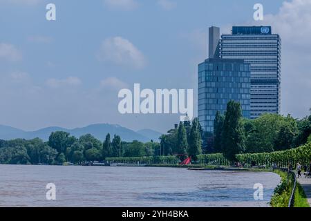 Bonn, Deutschland - 21. Mai 2024 : Blick auf den geschwollenen Rhein, den Campus der Vereinten Nationen und den Postturm im Hintergrund in Bonn Stockfoto