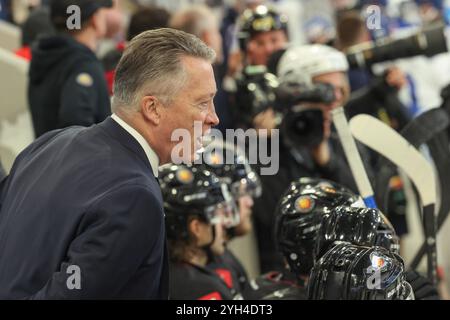 Landshut, Deutschland. November 2024. Eishockey: Germany Cup, Deutschland - Slowakei, Gruppenphase, Spieltag 2. Nationaltrainer Harold Kreis (Deutschland, l) gibt seinem Team Anweisungen. Darlegung: Daniel Löb/dpa/Alamy Live News Stockfoto