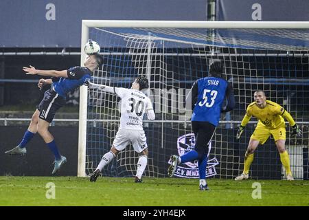 Denderleeuw, Belgien. November 2024. Dender’s Aurelien Scheidler und OHL’s Takahiro Akimoto wurden in Aktion während eines Fußballspiels zwischen FCV Dender EH und Oud-Heverlee Leuven am Samstag, den 9. November 2024 in Denderleeuw am 14. Tag der Saison 2024-2025 der ersten Liga der belgischen Meisterschaft gezeigt. BELGA FOTO TOM GOYVAERTS Credit: Belga Nachrichtenagentur/Alamy Live News Stockfoto