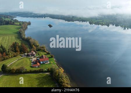 Rottachsee, nebelbedecktes Ufer, einzelne Insel, Reflexionen, Herbst, Luftaufnahme, Allgaeu, Bayern, Deutschland Stockfoto