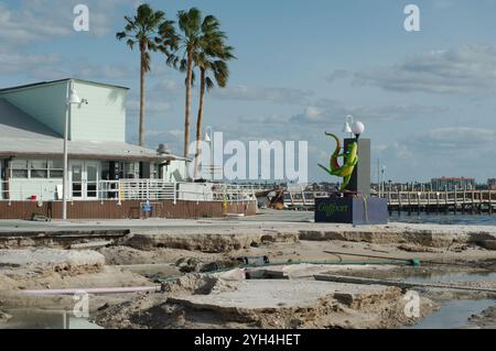 Redaktionelle Verwendung nur Wide View 8. November 2024. Gulfport, FL, USA. In der Nähe des Green Historic Gulfport Casino Building G. Gordon McFly Gecko Statue Stockfoto