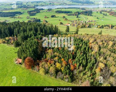 Bergkette bei Wertach, Blick auf den Rottachsee, Luftsicht, Herbstfarben, Allgäu, Bayern, Deutschland Stockfoto