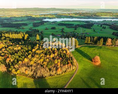 Bergkette in der Nähe des Dorfes Wertach, Blick auf den Rottachsee, Luftsicht, Herbstfarben, Sonnenaufgang, Allgäu, Bayern, Deutschland Stockfoto