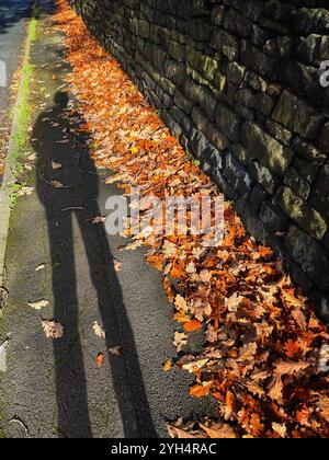 Die Figur wirft Schatten auf dem Weg mit herabfallenden Herbstblättern an einer Steinmauer in Rivington bei Chorley, Lancashire, Großbritannien Stockfoto