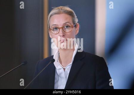 Berlin, Deutschland, 07.11.2024: Deutscher Bundestag: Alice Weidel, AfD, gibt vor der 197. Bundestagssitzung ein Statement ab Copyright: XdtsxNachrichtenagenturx dts 50873 Stockfoto