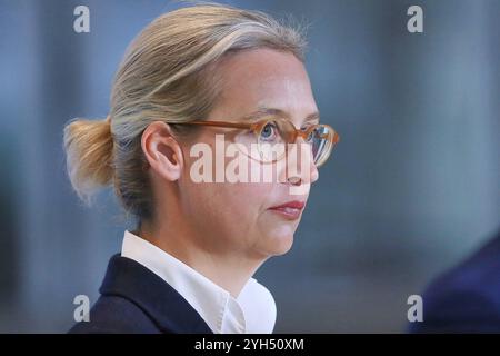 Berlin, Deutschland, 07.11.2024: Deutscher Bundestag: Alice Weidel, AfD, gibt vor der 197. Bundestagssitzung ein Statement ab Copyright: XdtsxNachrichtenagenturx dts 50876 Stockfoto