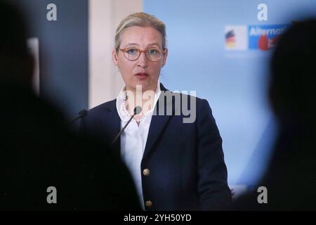 Berlin, Deutschland, 07.11.2024: Deutscher Bundestag: Alice Weidel, AfD, gibt vor der 197. Bundestagssitzung ein Statement ab Copyright: XdtsxNachrichtenagenturx dts 50880 Stockfoto