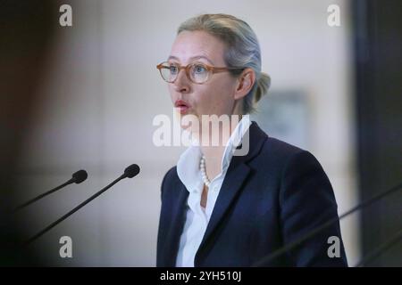 Berlin, Deutschland, 07.11.2024: Deutscher Bundestag: Alice Weidel, AfD, gibt vor der 197. Bundestagssitzung ein Statement ab Copyright: XdtsxNachrichtenagenturx dts 50881 Stockfoto