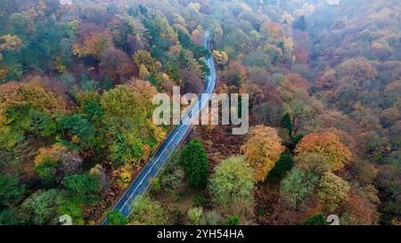 Wunderschöner Blick aus der Luft auf einen dichten herbstlichen Wald mit einer gewundenen Straße durch die Landschaft. Stockfoto