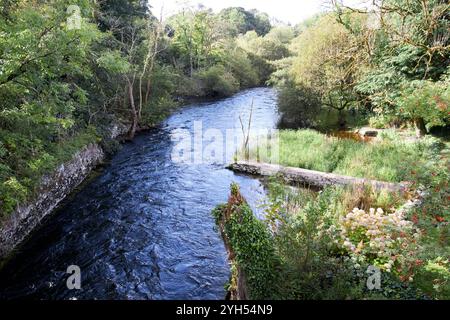 fluss cong rund um cong, County Mayo, republik irland Stockfoto