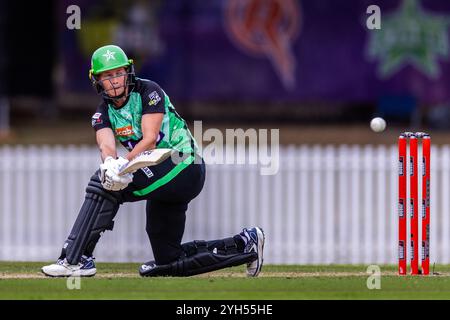 Melbourne, Australien, 9. November 2024. Meg Lanning von Melbourne Stars schlägt beim Spiel der Weber Women's Big Bash League (WBBL10) T20 zwischen Melbourne Renegades Women und Melbourne Stars Women im CitiPower Centre Junction Oval am 9. November 2024 in Melbourne, Australien. Quelle: Santanu Banik/Speed Media/Alamy Live News Stockfoto