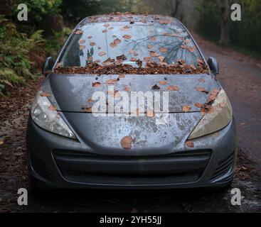 Ein Verlassenes Auto, Bedeckt Mit Schmutz Und Blättern Stockfoto