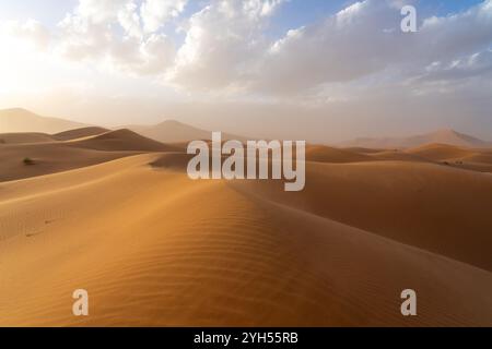 Wind weht den Sand in der Sahara, Marokko, Afrika. Stockfoto