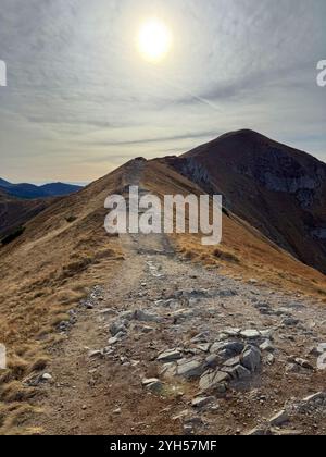 Kopa Kondracka auf 2005 m Höhe in der Tatra, Polen, bietet atemberaubende Bergblicke und zerklüftete Landschaften Stockfoto