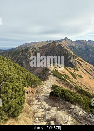 Blick von Kopa Kondracka auf die Slowakische Tatra, Slowakei, mit ausgedehnten alpinen Landschaften und weit entfernten Gipfeln Stockfoto