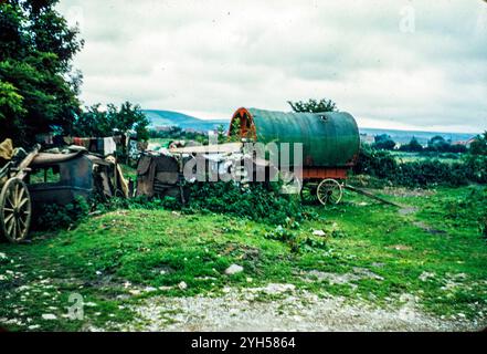 Eine Pferdekarawane der Wandergemeinde, die 1957 in Castleisland, County Kerry, Irland, abgebildet wurde. Stockfoto