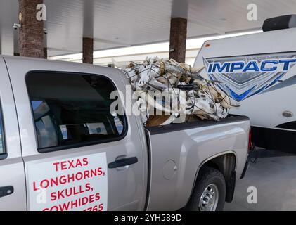 KODAK, TN - 12. März 2024: Pickup-Truck für Texas Longhorns, Schädel und Rindsleder, mit Werbeschild an der Tür. Stockfoto