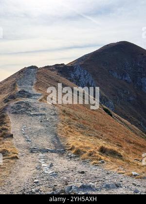 Kopa Kondracka auf 2005 m Höhe in der Tatra, Polen, bietet atemberaubende Bergblicke und zerklüftete Landschaften Stockfoto