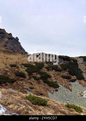 Kasprowy Wierch, ein prominenter Gipfel in der Tatra in Polen, bietet eine atemberaubende Aussicht, die für Wanderungen und Seilbahnfahrten beliebt ist Stockfoto