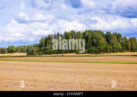 Weitläufiges landwirtschaftliches Feld mit dichtem grünen Wald und teilweise bewölktem Himmel an hellem Tag. Schweden. Stockfoto