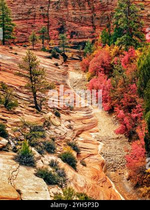 Das trockene Flussbett im Zion National Park, Utah, bildet einen atemberaubenden Kontrast zur zerklüfteten Schlucht. Stockfoto