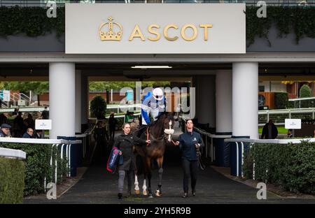 Samarrist und Jockey Lorcan Williams fahren am Samstag, den 2. November 2024 auf der Ascot Racecourse. Credit JTW equine Images / Alamy. Stockfoto