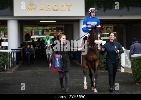 Samarrist und Jockey Lorcan Williams fahren am Samstag, den 2. November 2024 auf der Ascot Racecourse. Credit JTW equine Images / Alamy. Stockfoto