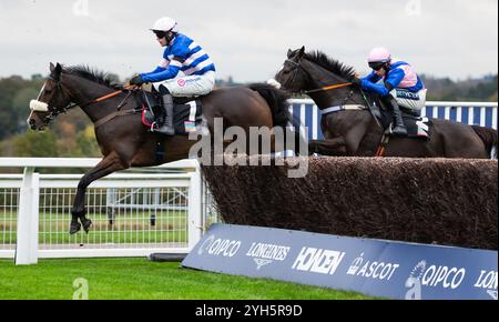 Samarrist und Jockey Lorcan Williams fahren am Samstag, den 2. November 2024 auf der Ascot Racecourse. Credit JTW equine Images / Alamy. Stockfoto