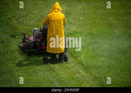 Rasenmähen. Grasschneider. Rasenpflege. Grashintergrund. Rasenmäher. Gras auf dem Feld schneiden. Vorher und nachher. Rasenausrüstung. Grasschneidewerkzeug Stockfoto