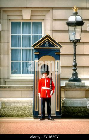 Königliche Palastgarde, Buckingham Palace, London, England Stockfoto