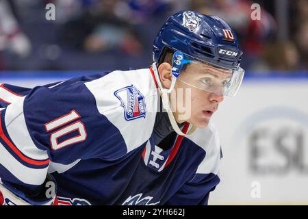 Rochester, New York, USA. November 2024. Hartford Wolf Pack Stürmer Adam Sykora (10) blickt in der zweiten Periode gegen die Rochester-Amerikaner an. Die Rochester Americans veranstalteten das Hartford Wolf Pack in einem Spiel der American Hockey League in der Blue Cross Arena in Rochester, New York. (Jonathan Tenca/CSM). Quelle: csm/Alamy Live News Stockfoto