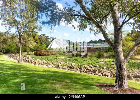 Bicentennial Conservatory vom National Wine Centre of Australia , Adelaide Botanic Garden, North Terrace, Adelaide, South Australia, Australien Stockfoto