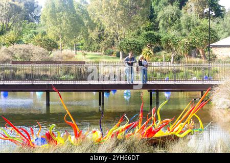 Murano-Glasskulptur im Main Lake, Adelaide Botanic Garden, North Terrace, Adelaide, South Australia, Australien Stockfoto