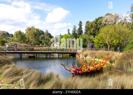 Murano-Glasskulptur im Main Lake, Adelaide Botanic Garden, North Terrace, Adelaide, South Australia, Australien Stockfoto