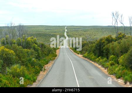Gerade Straße zu den bemerkenswerten Rocks, Flinders Chase National Park, Kangaroo Island (Karta Pintingga), South Australia, Australien Stockfoto
