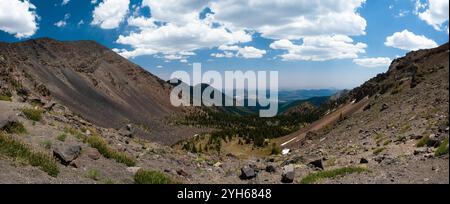 Große Gipfel der San Francisco Peaks, die hoch über einer bewaldeten Schale unterhalb des Mount Humphreys Trail ragen. Kachina Peaks Wilderness, Arizona Stockfoto