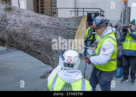 New York, New York, USA. November 2024. Der Rockefeller Center Christmas Tree kam an und wurde auf der Rockefeller Plaza in New York installiert. Der Baum ist etwa 74 Meter hoch und 43 Meter im Durchmesser. Es wird ein Loch gebohrt, damit der Stachel von Arbeitern in den Baum getrieben wird (Kreditbild: © Lev Radin/Pacific Press via ZUMA Press Wire), NUR ZUR REDAKTIONELLEN VERWENDUNG! Nicht für kommerzielle ZWECKE! Stockfoto