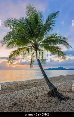 Eine einzelne klischeehafte Palme am malerischen, unberührten, tropischen Strand, während der farbenfrohe Sonnenaufgang über einem glasartigen Pazifischen Ozean malt. Stockfoto