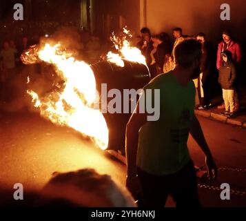 Hatherleigh, Devon, Großbritannien. 9. November 2024. Hatherleigh Karneval und Teerfässer. Jährlicher Hatherleigh-Karneval mit brennenden Teerfässern und einer Fackelprozession. Hinweis: Nidpor/Alamy Live News Stockfoto