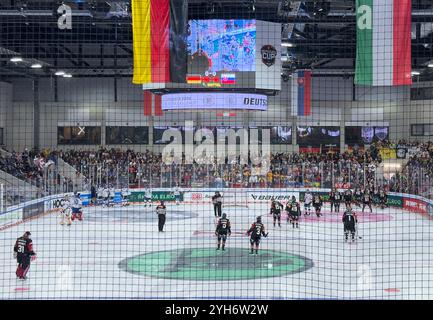 Landshut, Deutschland. November 2024. Beide Mannschaften müssen das Eis wegen Eisproblemen beim Spiel DEUTSCHLAND - SLOWAKEI 2-6 DEB EISHOCKEY DEUTSCHLAND CUP in Landshut verlassen, 9. November 2024, Saison 2024/2025. Fotograf: ddp Images/STAR-Images Credit: ddp Media GmbH/Alamy Live News Stockfoto