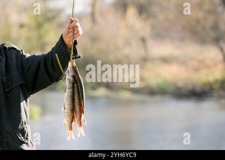 Ein Mann hält einen Hecht, den er gerade gefangen hat, an einem Stock am Flussufer, was den Erfolg des Angelns und der Freizeitaktivitäten unterstreicht. Stockfoto