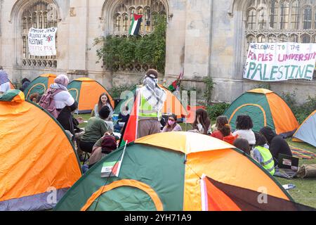 Pro-palästinensisches Studentenlager, vor dem Kings College, Cambridge Stockfoto