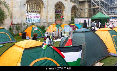 Pro-palästinensisches Studentenlager, vor dem Kings College, Cambridge Stockfoto