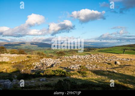 Gebiet des Kalksteinpflasters bei Newbiggin Crags in der Nähe von Burton-in-Kendal, Cumbria, England. Stockfoto